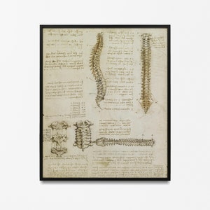 Poster di Leonardo da Vinci, schizzo di illustrazione anatomica dipinto da Leonardo da Vinci, poster di stampa anatomica della colonna vertebrale di Leonardo da Vinci,