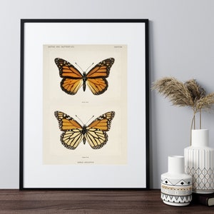 Vintage Butterfly Wall Art, Butterfly Art Prints, Butterfly Decor, Butterfly Wall Art, Rustic Butterfly Art, Farmhouse Art Prints, Butterfly