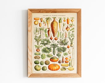 Adolphe Millot Garden Vegetables, Adolphe Millot Vintage Poster, Vintage Wall Decoration, Botanical Prints, Botanical art, Kitchen poster