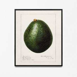 Adolphe Millot Garden Vegetables, Adolphe Millot Vintage Poster, Vintage Wall Decoration, Botanical Prints, Botanical art, Kitchen poster