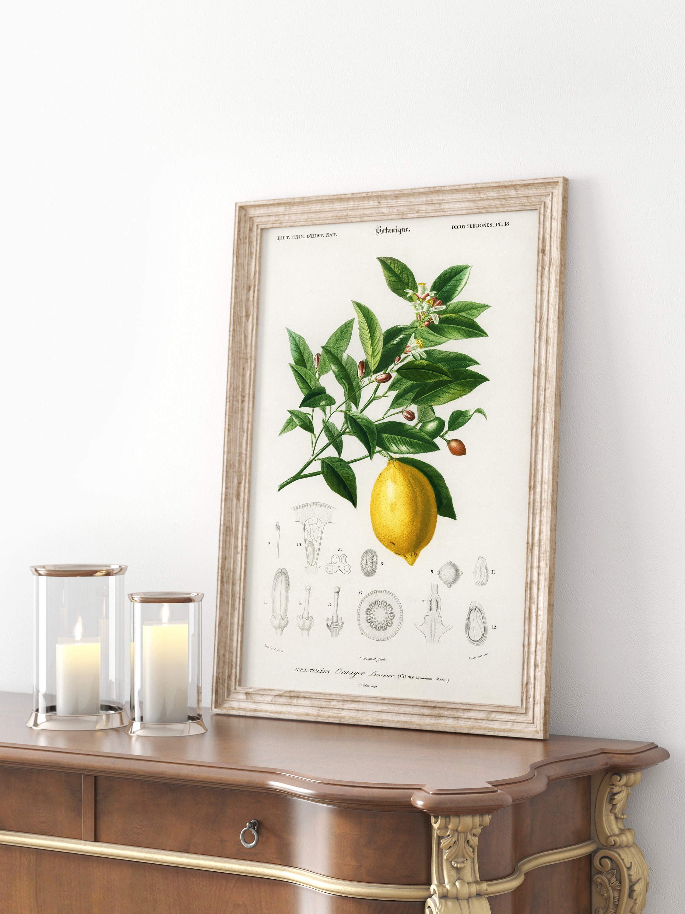 Vintage Lemon Print Lemon Poster Botanical Floral Wall Art | Etsy Ireland