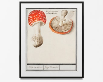 Vintage Botanical Print Mushrooms Science 1909 - Kitchen Decor Botanical Art Larousse Prints Mushroom Poster Millot Poster