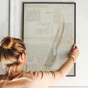 Leonardo da Vinci anatomy collection vintage prints sketch Leonardo da Vinci da vinci prints medical anatomy anatomy wall art wall decoration anatomy poster Leonardo da Vinci skeletal muscular arm studies giclée technique print