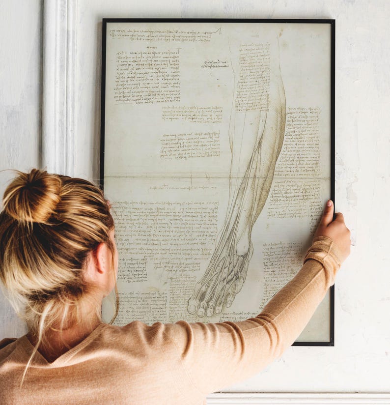 Leonardo da Vinci anatomy collection vintage prints sketch Leonardo da Vinci da vinci prints medical anatomy anatomy wall art wall decoration anatomy poster Leonardo da Vinci skeletal muscular arm studies giclée technique print