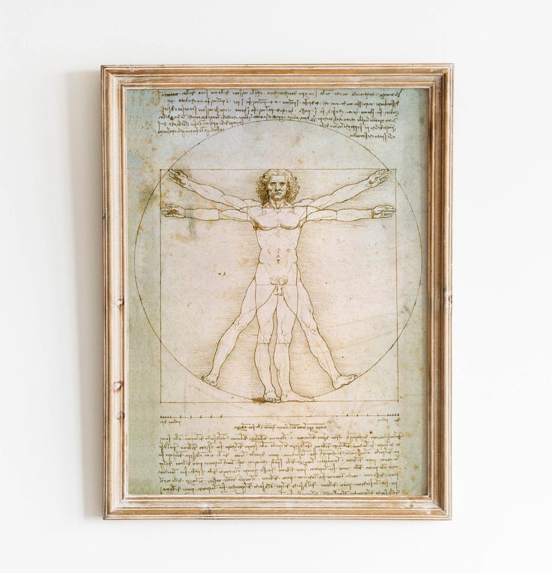Anatomy wall art Leonardo da Vinci vintage poster da vinci prints Leonardo da Vinci sketch medical anatomy wall decoration anatomy poster anatomy illustration da vinci drawings detailed dissection plates giclée museum quality
