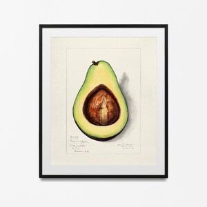 Adolphe Millot Garden Vegetables, Poster vintage Adolphe Millot, Decorazione murale vintage, Stampe botaniche, Arte botanica, Poster cucina