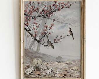 Vintage Bird Print by Fidelia Bridges   April Spring Botanical Wall Art, Antique Songbirds on Cherry Blossom Branch, Cottagecore Decor