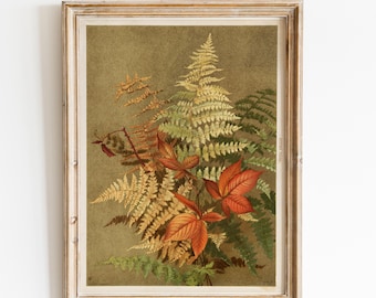 Vintage Fern Print, Botanical Fern Wall Art, Autumn Ferns Poster, Antique Botanical Art, Cottagecore Decor, Victorian Nature Print