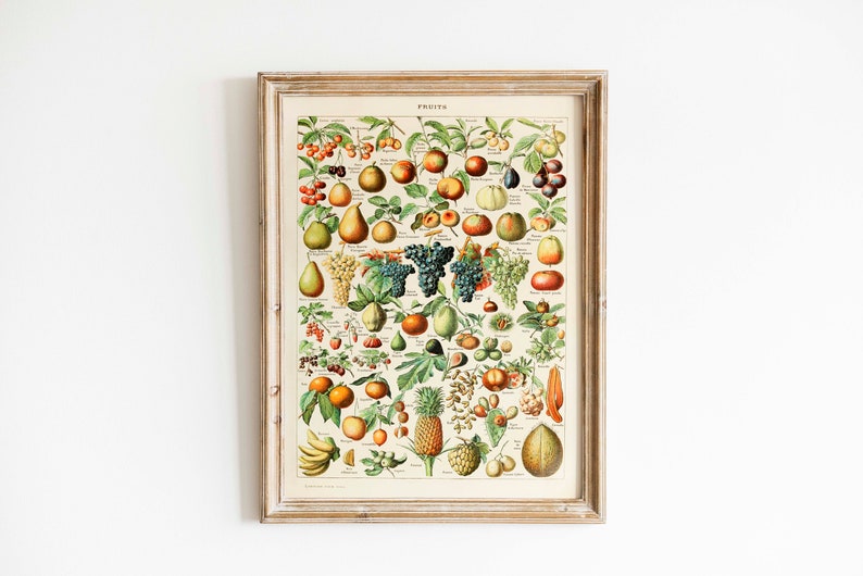 May include: A vintage framed print of a botanical illustration featuring a variety of fruits, including pears, apples, grapes, oranges, and pineapples. The print is titled "Fruits" and is set against a cream-colored background.