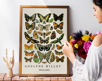 Vintage butterfly poster by Adolphe Millot, Papillon - butterfly and mouth Wall Art for your wall decoration