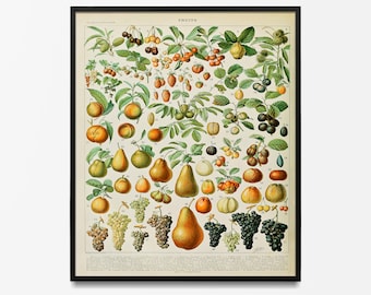 Adolphe Millot Garden Vegetables Vintage Botanical Art Print