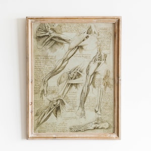 Vintage Leonardo da Vinci prints anatomy wall art da vinci drawings sketch Leonardo da Vinci medical anatomy anatomy poster wall decoration da vinci prints Leonardo da Vinci muscular system skeletal hands dissection giclée archival paper