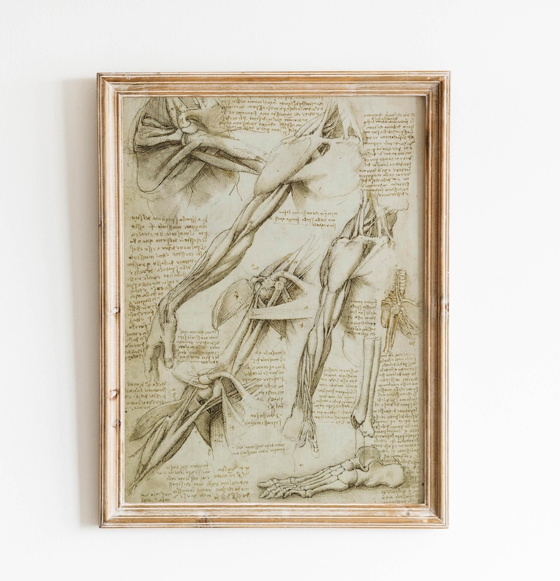 Vintage Leonardo da Vinci prints anatomy wall art da vinci drawings sketch Leonardo da Vinci medical anatomy anatomy poster wall decoration da vinci prints Leonardo da Vinci muscular system skeletal hands dissection giclée archival paper