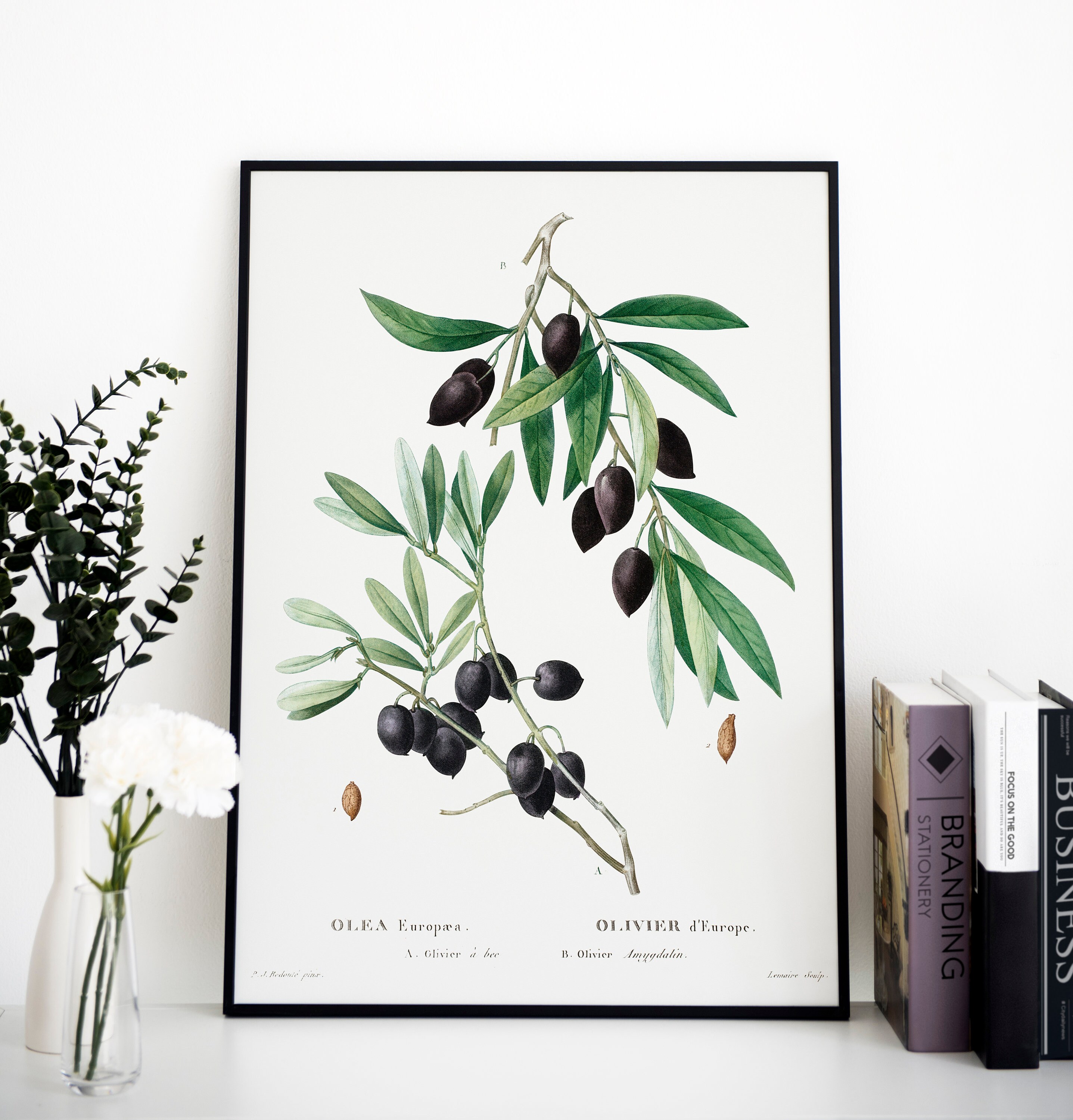 Olive Garden Prints Olive Wall Art Print Garden Botanical Etsy
