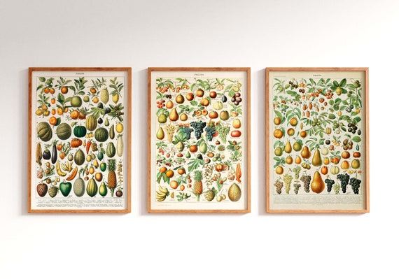 Adolphe Millot Botanical Prints, Fruits and Vegetables Poster Set