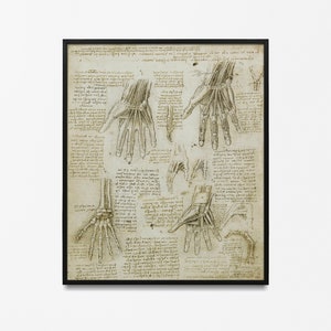 Poster illustrativo dell'anatomia di Leonardo da Vinci, stampa scientifica vintage, idea perfetta per un regalo da uomo