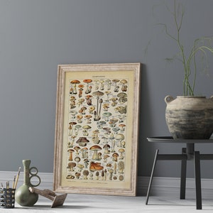 May include: A vintage botanical illustration of various mushrooms in a white frame. The illustration is in a muted color palette of browns, yellows, and greens. The title of the illustration is "Champignons" and is printed in black.