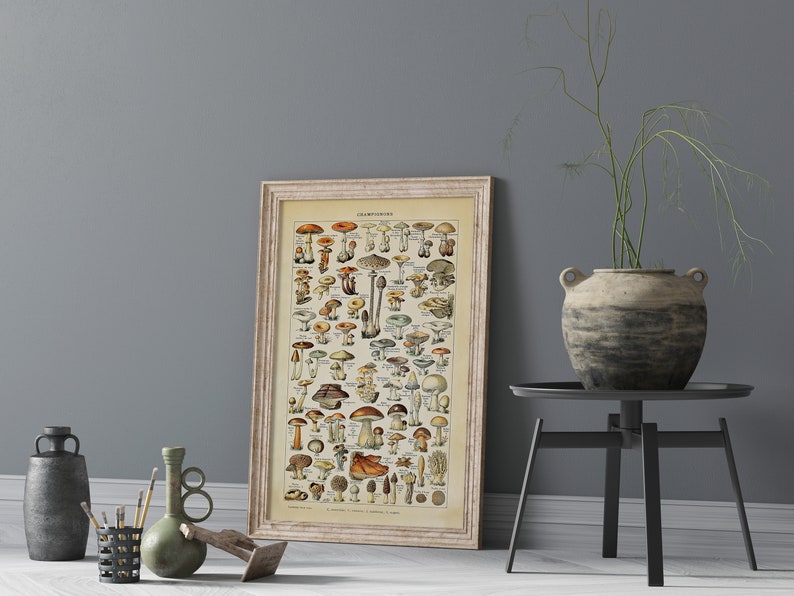 May include: A vintage botanical illustration of various mushrooms in a white frame. The illustration is in a muted color palette of browns, yellows, and greens. The title of the illustration is "Champignons" and is printed in black.