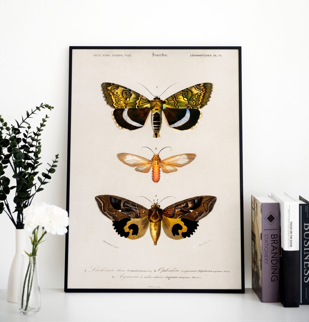 Vintage Butterfly Wall Art, Butterfly Art Prints, Butterfly Decor, Butterfly Wall Art, Rustic