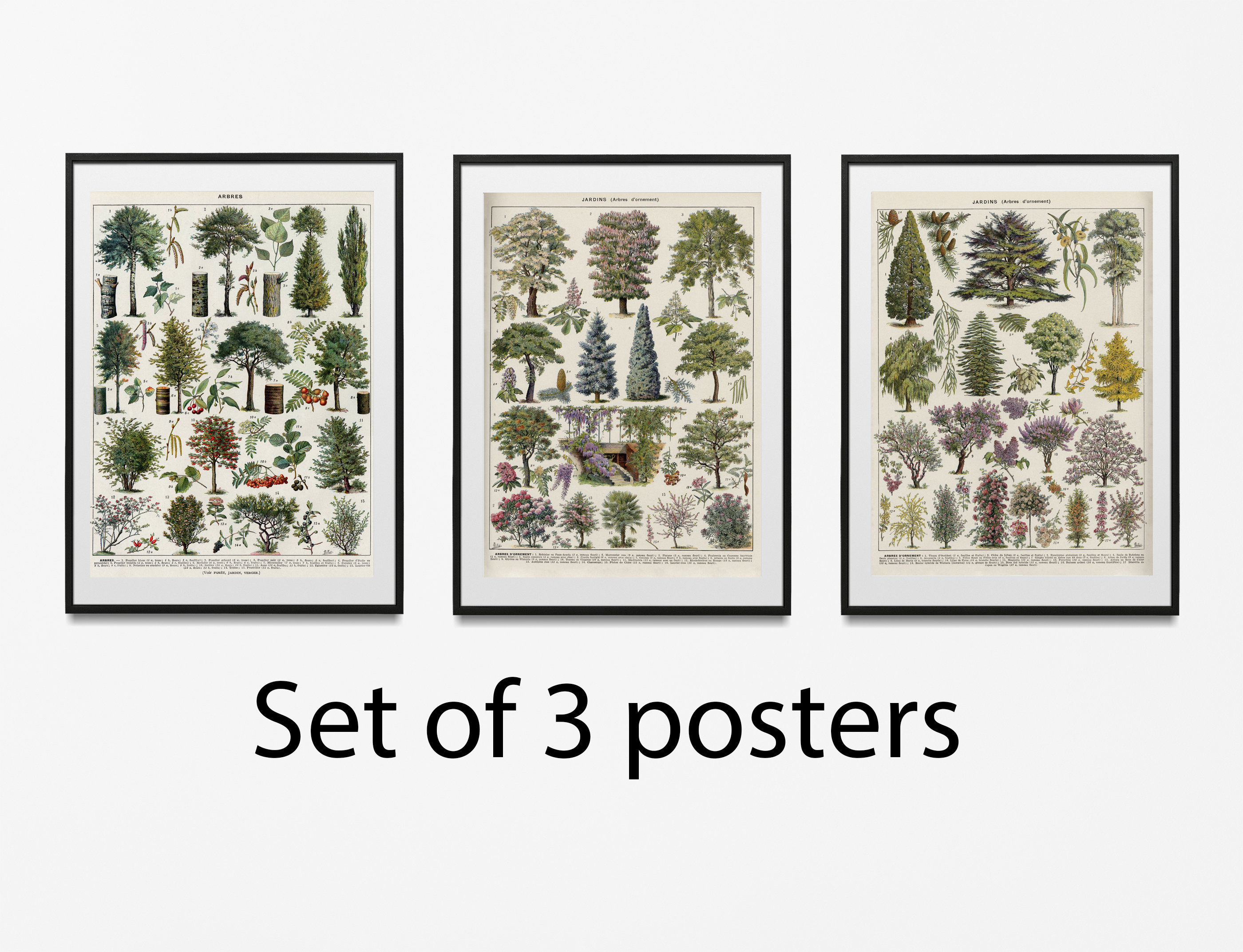Forest Wall Art Wall Tree Poster Tree Set of 3 Prints Tree Etsy Canada