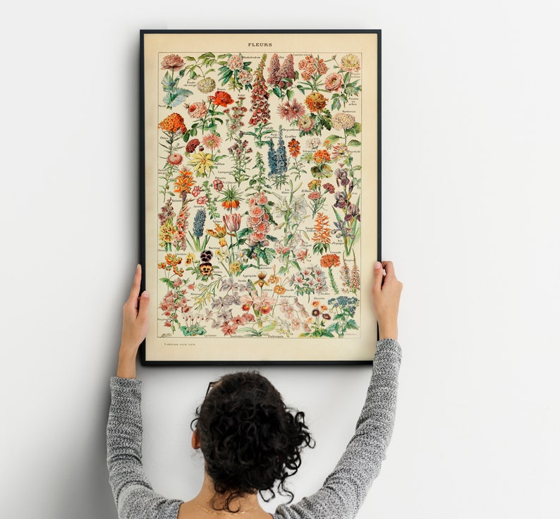 Vintage Flower Print, Adolphe Millot Poster, Botanical Print, Romantic Floral Illustration, Science Birthday Gift Idea, Home Decor image 1