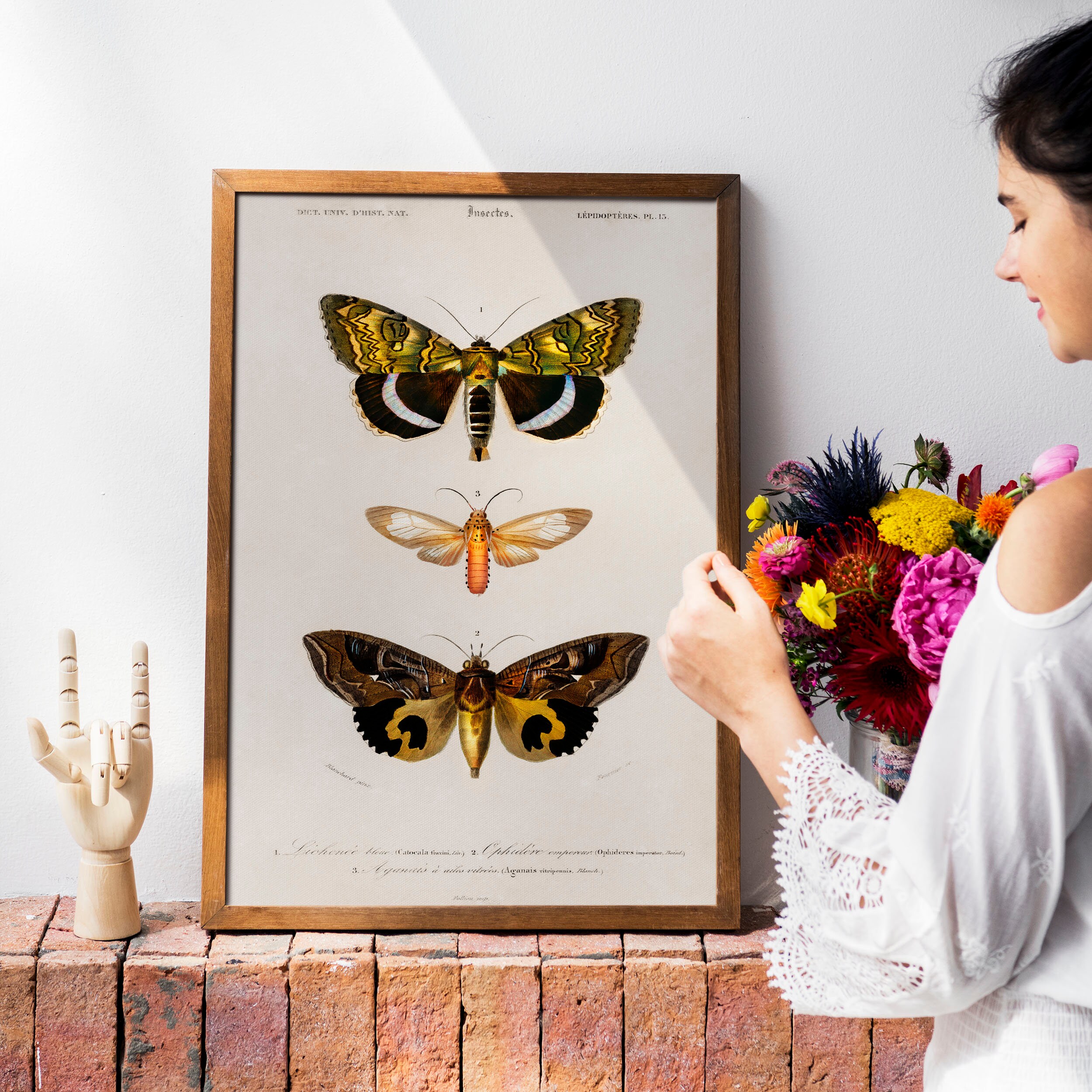 Vintage Butterfly Wall Art Butterfly Art Prints Butterfly Etsy