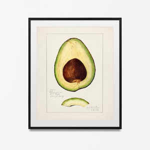 Arte de parede de abacate, impressão de frutas vintage, pôster antigo, decoração de parede rústica, ilustração botânica, ideia de presente barato para ela