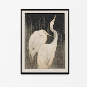 Stampa di airone, stampe di James Audubon, dipinto di uccelli antichi, poster di disegni vintage, decorazione da parete, airone azzurro, regalo per gli amanti degli uccelli