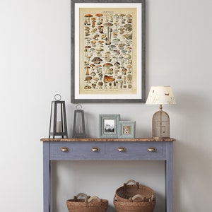 May include: A vintage illustration of various mushrooms printed on a poster with a gray frame hanging on a white wall above a console table with two drawers. The console table is painted a light blue color and has a wooden top. Two wicker baskets are on the bottom shelf of the table. There are three black candle lanterns and two framed pictures on the top of the table. A lamp with a white shade and a birdcage are on the table.