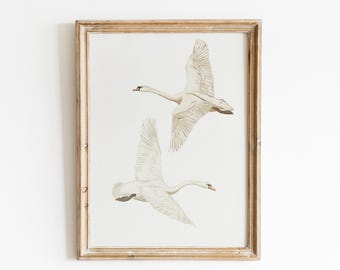swan posters for kids room, birds beige vintage prints nursery room,