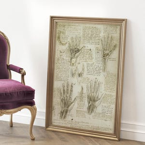 Renaissance anatomical art Leonardo da Vinci vintage poster da vinci drawings sketch Leonardo da Vinci medical anatomy anatomy wall art wall decoration da vinci prints anatomy illustration anatomy poster Vitruvian Man muscles skeleton hands feet giclée museum quality archival paper print