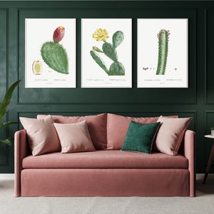 3er Set Kaktus Blumen Poster, Vintage Blumen Kaktus Druck, Blooming Cactus Poster Set von 3, botanischer Garten Poster, Druck im Boho-Stil