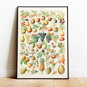 May include: A vintage botanical illustration of various fruits, including pears, apples, grapes, oranges, and figs. The illustration is in a black frame and has the word "FRUITS" at the top.