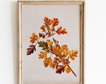 Autumn Botanical Print, Fall Leaves Wall Art, Vintage Botanical Poster, Cottagecore Decor, Rustic Nature Print, Warm Tone Wall Art