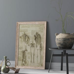 Medical anatomy Leonardo da Vinci vintage poster da vinci prints sketch Leonardo da Vinci anatomy wall art wall decoration anatomy illustration anatomy poster Leonardo da Vinci hands feet detailed studies giclée on museum paper
