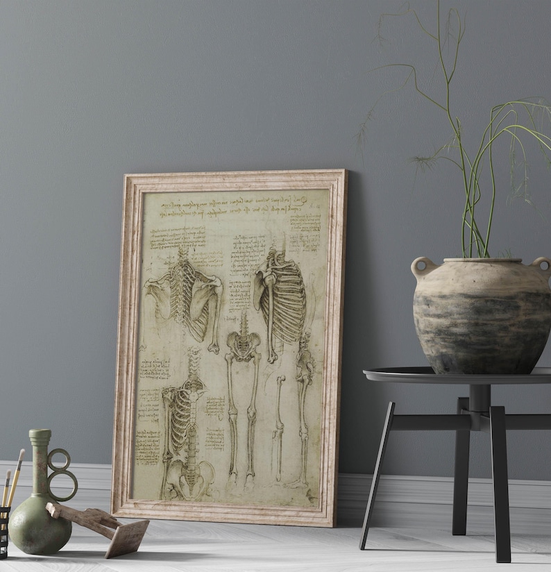 Medical anatomy Leonardo da Vinci vintage poster da vinci prints sketch Leonardo da Vinci anatomy wall art wall decoration anatomy illustration anatomy poster Leonardo da Vinci hands feet detailed studies giclée on museum paper