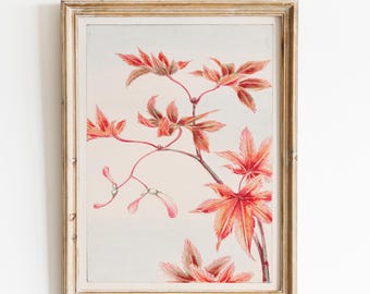 Vintage Maple Leaf Print, Autumn Botanical Wall Art, Ellen Thayer Fisher, Antique Fall Leaves Poster, Cottagecore Decor