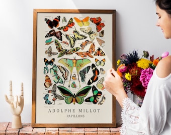 Butterfly vintage prints originally painted by Adolphe Millot, a great idea for a cheap gift - made using the giclee technique