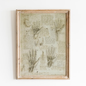 Da Vinci drawings Leonardo da Vinci vintage prints anatomy poster medical anatomy sketch Leonardo da Vinci da vinci prints anatomy wall art wall decoration anatomy illustration renaissance anatomical art giclée high quality print