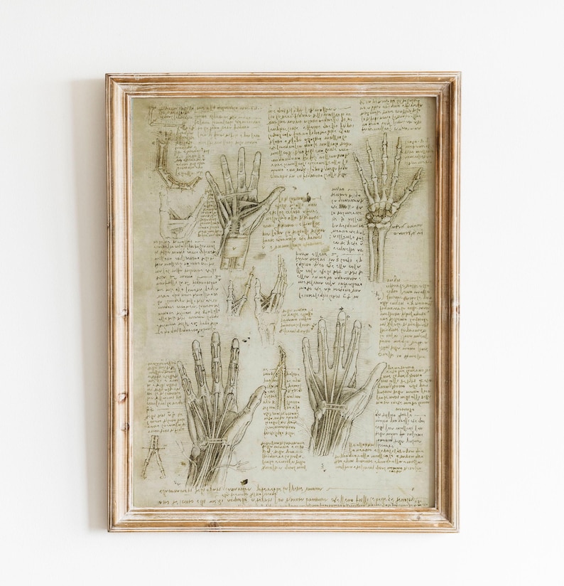 Da Vinci drawings Leonardo da Vinci vintage prints anatomy poster medical anatomy sketch Leonardo da Vinci da vinci prints anatomy wall art wall decoration anatomy illustration renaissance anatomical art giclée high quality print