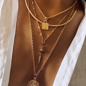 Gold coin necklace, necklace set, lion necklace,ancient coin necklace, cz dainty necklace, link chain necklace