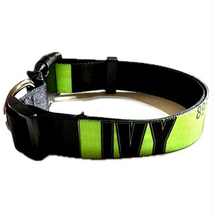 Personalized Dog collar | Fully Custom | Made in America |