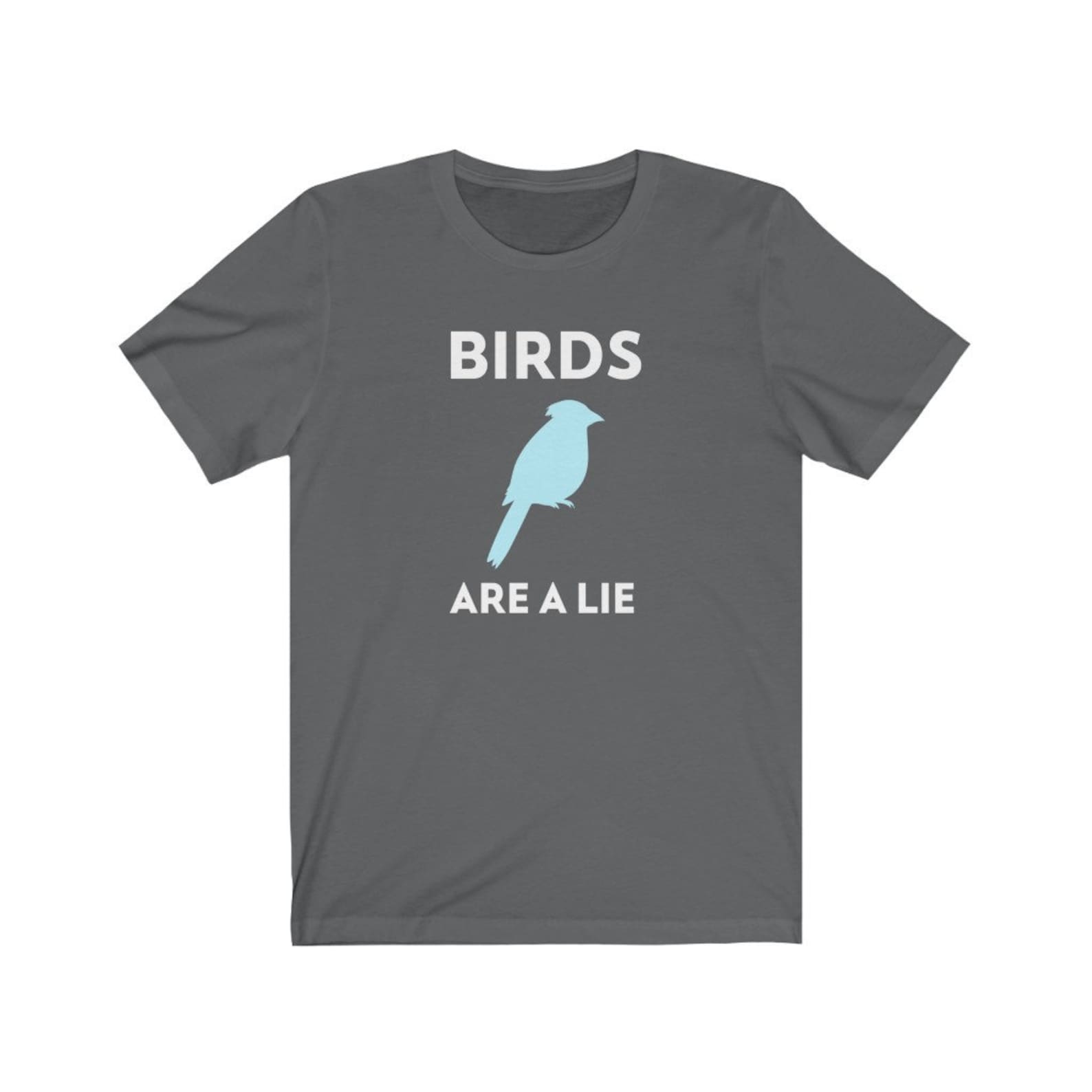Birds Aren't Real Shirt Birds Are a Lie Shirt Bird - Etsy