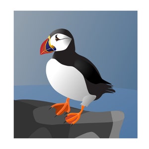 Carte de macareux, Macareux sur une falaise, Macareux moine, Carte de Cornouailles, Cornouailles, Îles Scilly. Oiseau de mer