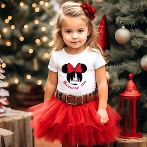 Disney Birthday Girl Shirt, Birthday Shirt, Gifts for Birthday,Disney Birthday T-Shirts,Gift for Birthday Minnie Shirt,Birthday Party Shirts