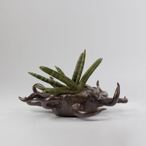 Może przedstawiać: Unikalna, ciemnobrązowa ceramiczna donica o abstrakcyjnym, rzeźbiarskim wzorze. Donica zawiera kilka zielonych roślin Sansevieria cylindrica. Ogólna estetyka jest nowoczesna i artystyczna, odpowiednia do dekoracji wnętrz.
