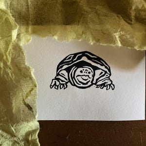 May include: Black and white line art print of a turtle with its head and legs sticking out of its shell.