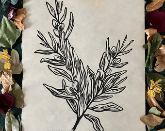 May include: Black and white linocut print of a leafy branch with small berries. The print is titled "Benediction" and numbered 1/20.