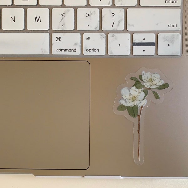Magnolia: Sticker—Clear