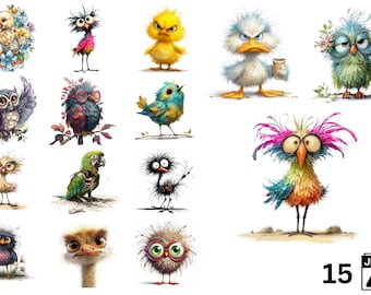 Quirky Cartoon Birds Clipart Bundle – 15 JPG Illustrations (Digital Download)